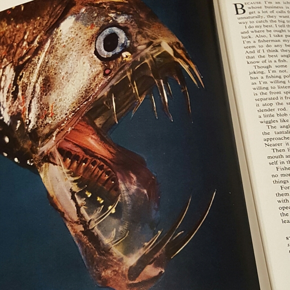 *SOLD* WONDROUS WORLD OF FISHES 1969 NEW ENLARGED - Picture 9 of 14